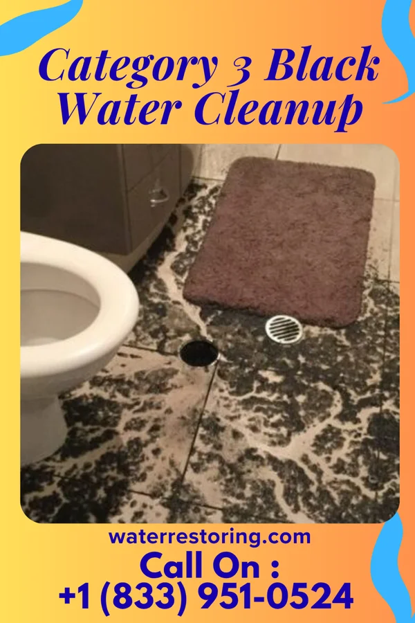 Category 3 Black Water Cleanup in La Bajada, NM