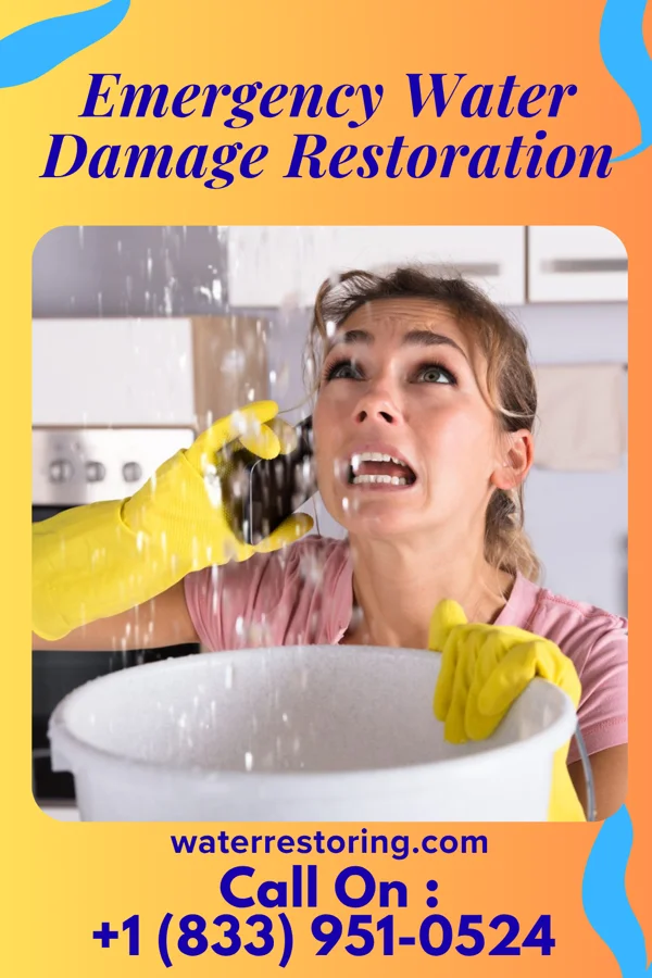 Emergency Water Damage Restoration in La Bajada, NM