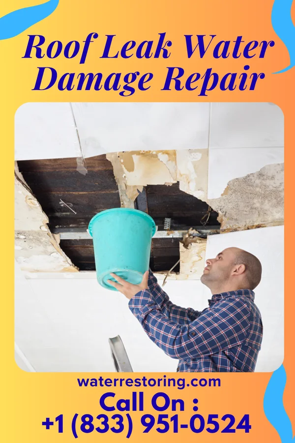 Roof Leak Water Damage Repair in La Bajada, NM